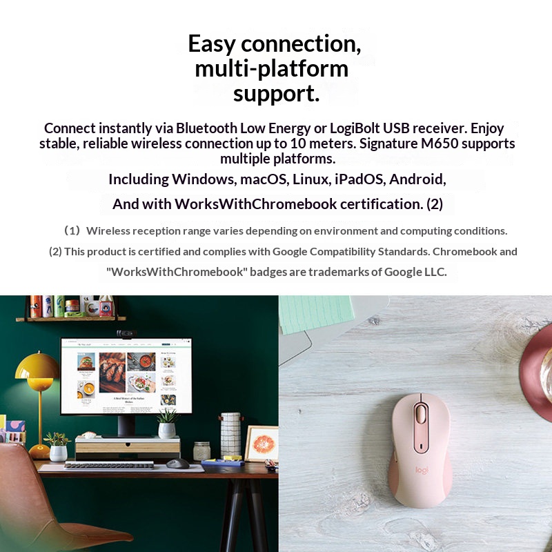 เมาส์สำนักงานแบบเงียบออลอินวัน - Logitech Home Cinema บทวิจารณ์และราคา